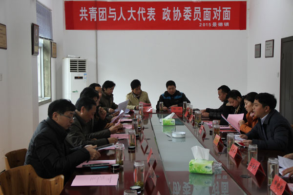 团景德镇市委开展2015年“共青团与人大代表、政协委员面对面”活动