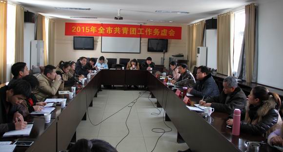 共青团景德镇市委召开2015年共青团工作务虚会