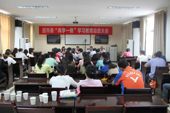 团市委召开“两学一做”学习教育动员大会