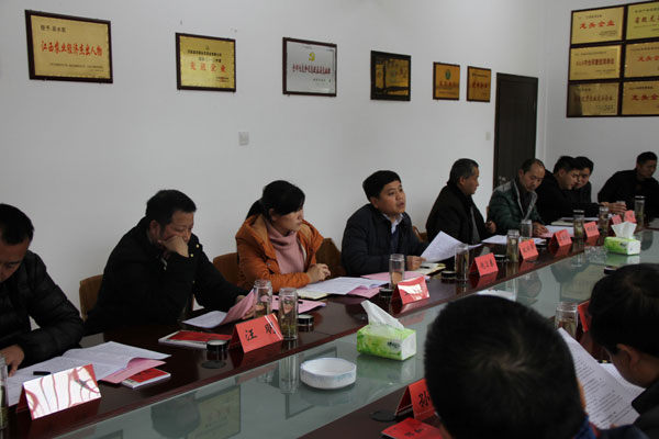 团景德镇市委开展2015年“共青团与人大代表、政协委员面对面”活动