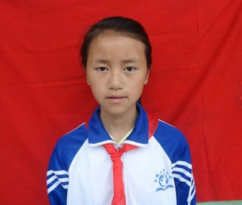 激励引导少年儿童健康成长 积极宣传和选树“学习榜样”