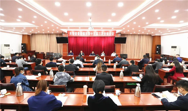 共青团景德镇市委十五届三次全体会议召开