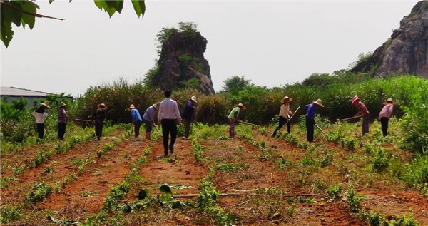 团市委在定点帮扶贫困村开展科技扶贫工作