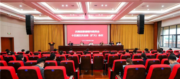 团市委十五届五次全体(扩大)会议召开！