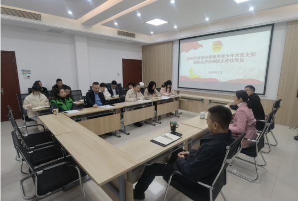 团市委机关青少年宫党支部召开2022年度组织生活会