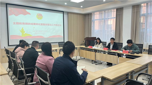 团市委召开主题教育调研成果转化暨整改整治工作推进会