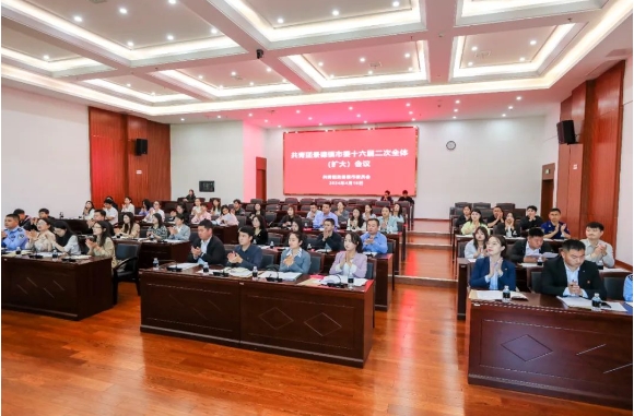 共青团景德镇市第十六届委员会第二次全体(扩大)会议召开!