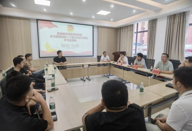 市青联开展界别联组学习贯彻党的二十届三中全会精神学习交流活动