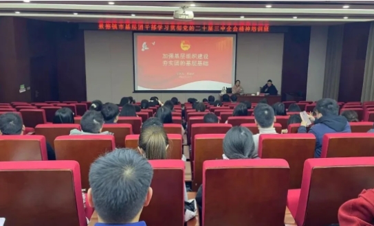 团市委举办全市基层团干部学习贯彻党的二十届三中全会精神培训班