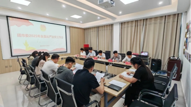 团市委2025年全面从严治党工作会召开