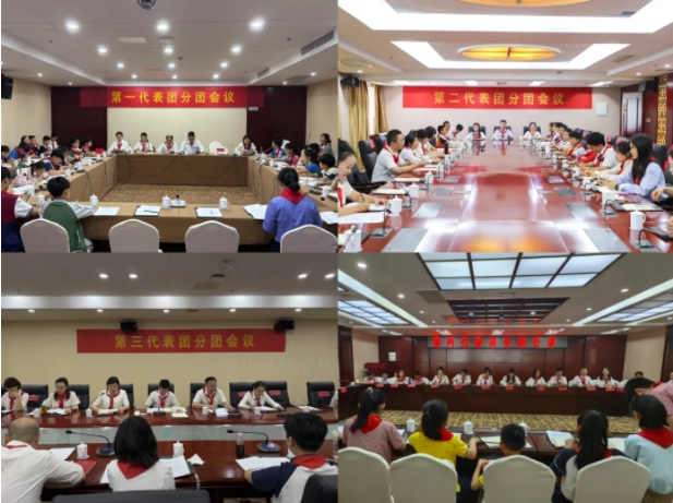 中国少年先锋队景德镇市第四次代表大会胜利召开
