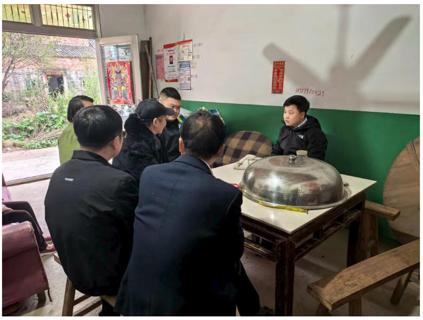 团市委深入镇桥镇新乐村实地调研乡村振兴工作